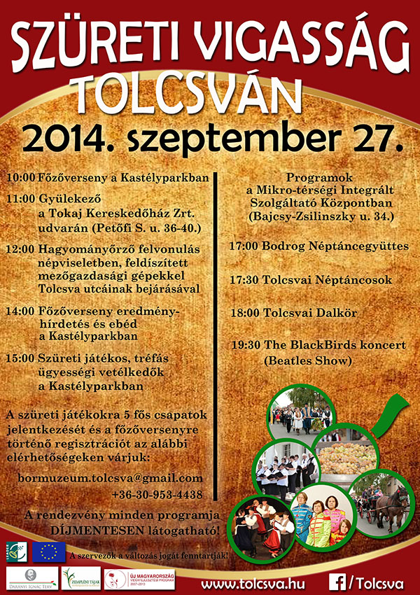 szureti-vigassag-14-plakat