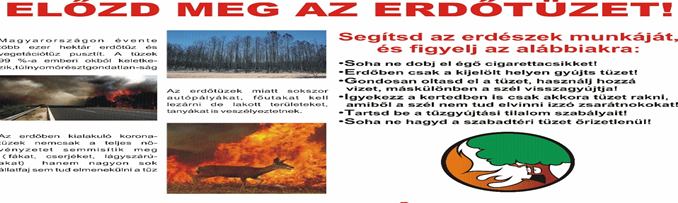 elozd_meg_az_erdotuzet.jpg