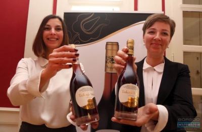 21 milliárdos kincs rejtőzik Tolcsván